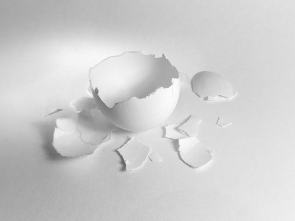 Cáscaras de huevo: ¿Aprecias sus propiedades?